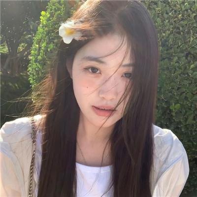 玫瑰的故事
